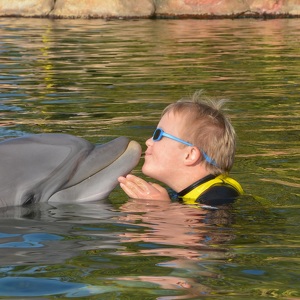 Team Page: Wyatt's Warriors